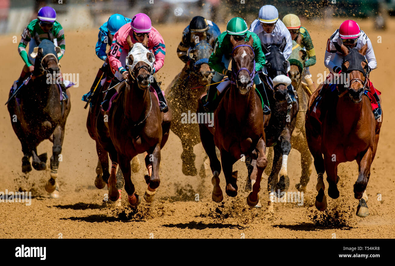 Races clubhouse hi-res stock photography and images - Alamy