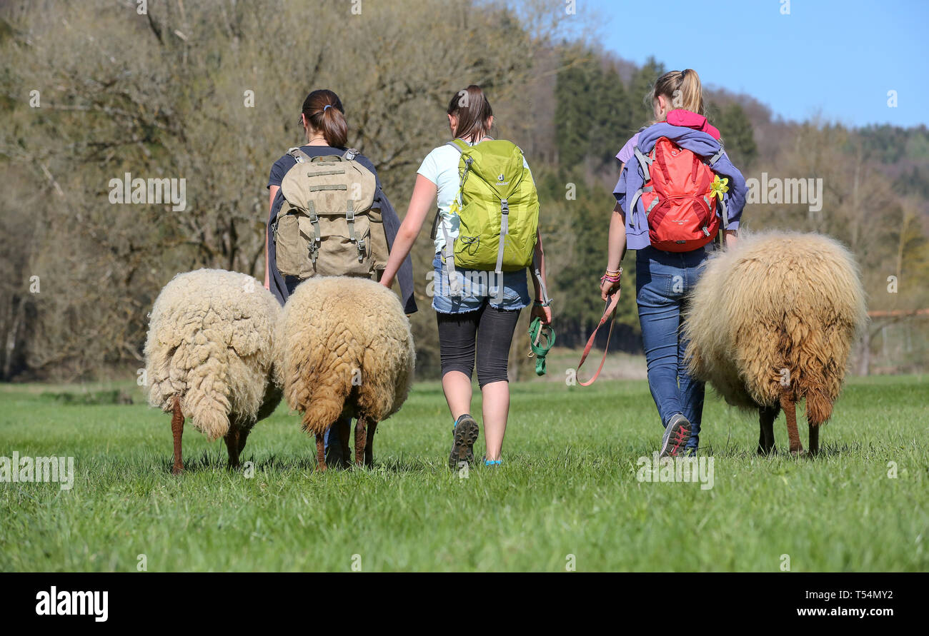 Gammertingen Neufra, Germany. 21st Apr, 2019. Clara, Emely and Annika (l-r) wander together with their sheep through the Fehlatal on Easter Sunday. The girls have been out since Good Friday. (Zu dpa: Adventure at Easter: Girls wander alone with sheep) Credit: Thomas Warnack/dpa/Alamy Live News Stock Photo