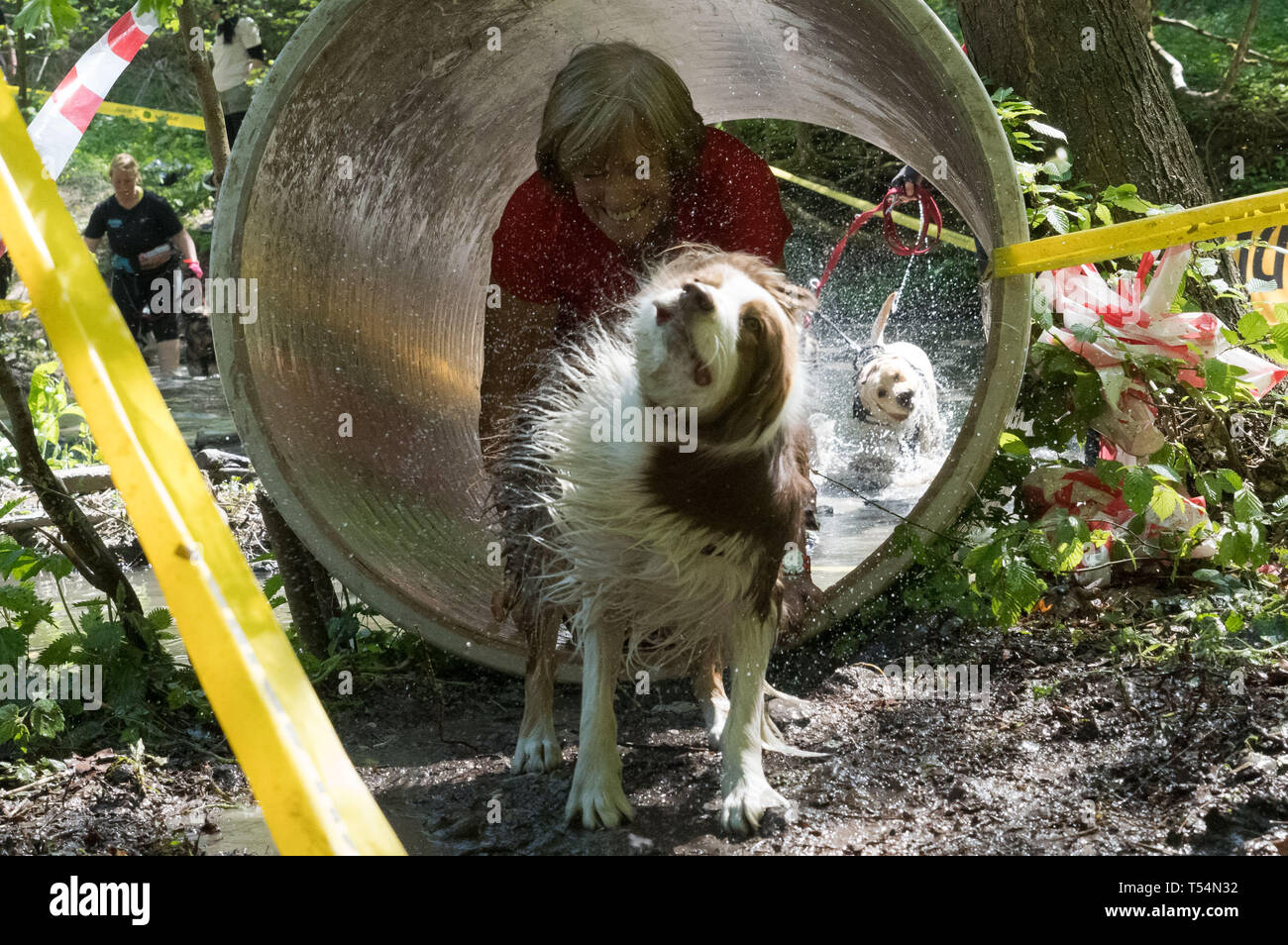 Nagymaros, Hungary. 20th Apr, 2019. Participants compete in the Hard Dog Race extreme obstacle course race near Nagymaros, Hungary on April 20, 2019. Credit: Xinhua/Alamy Live News Stock Photo