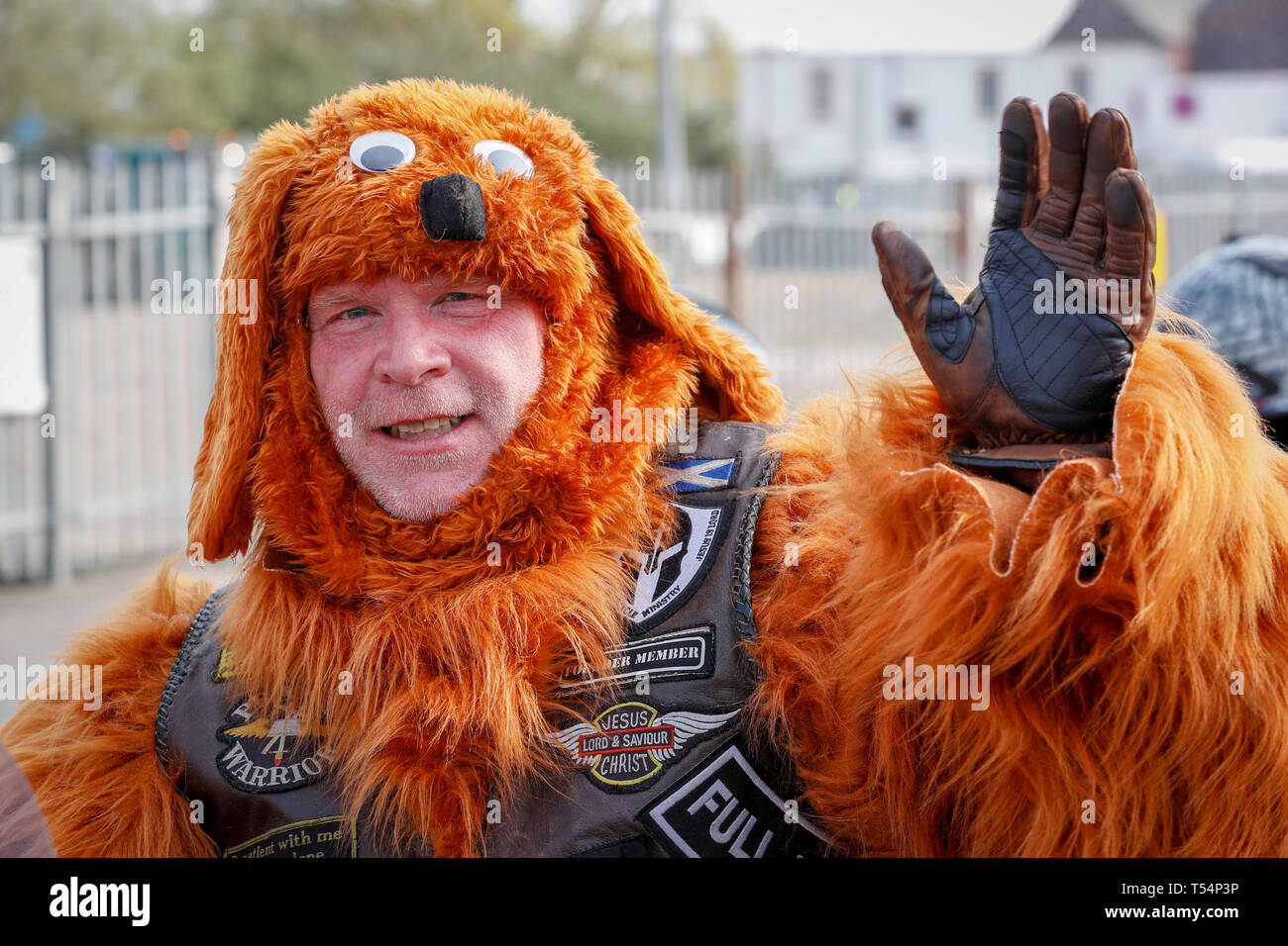Fancy dress bear costume hi res stock photography and images Alamy