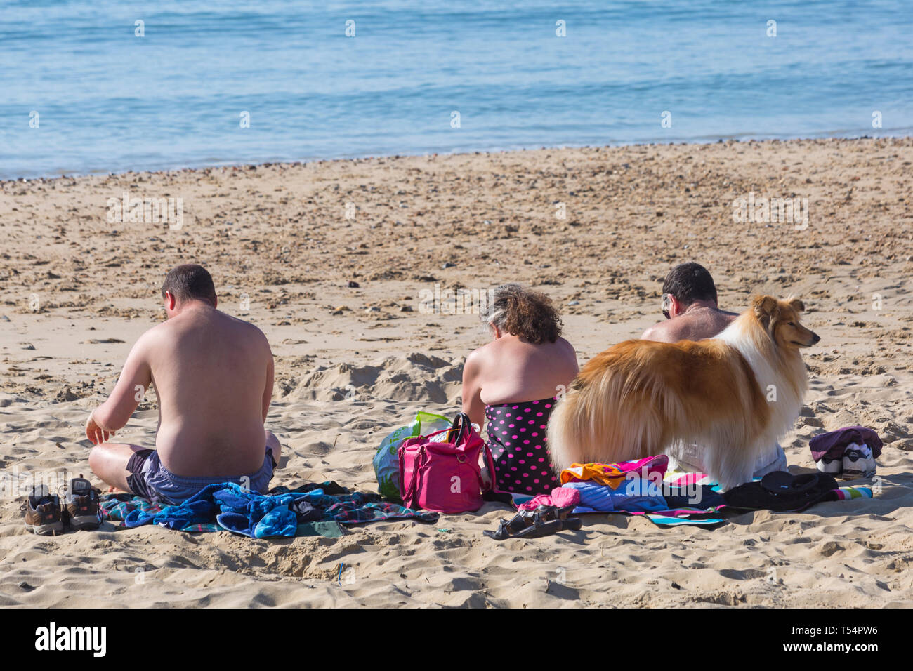 Bournemouth, Dorset, UK. 21st Apr 2019. UK weather: the heatwave continues with hot and sunny weather, as beachgoers head to the seaside to enjoy the heat and sunshine at Bournemouth beaches for the Easter holidays - mid morning and already beaches are getting packed, as sunseekers get there early to get their space. People sunbathing with Rough Collie dog. Credit: Carolyn Jenkins/Alamy Live News Stock Photo