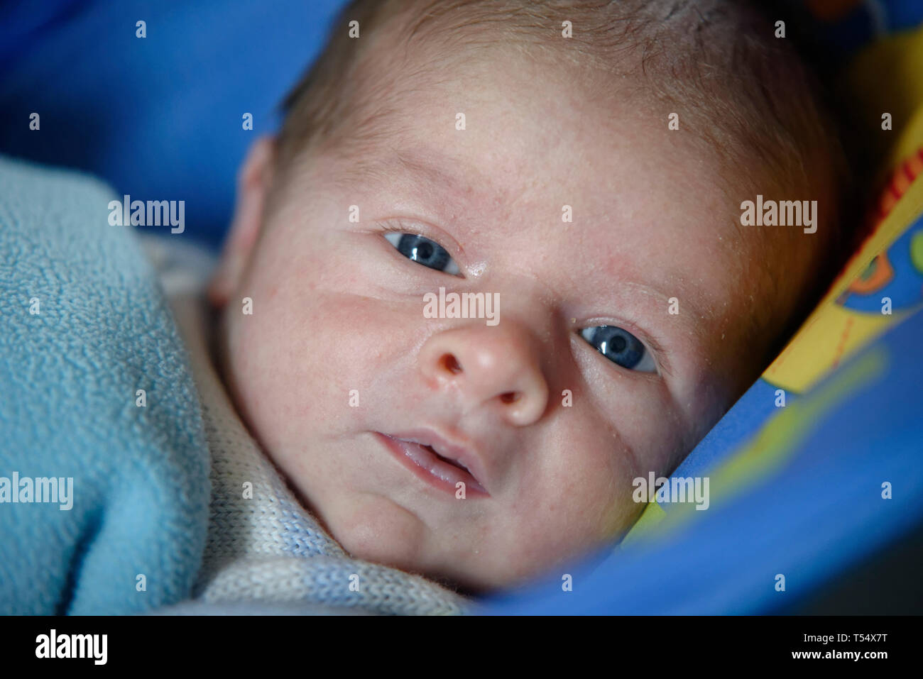 2 months old baby Stock Photo