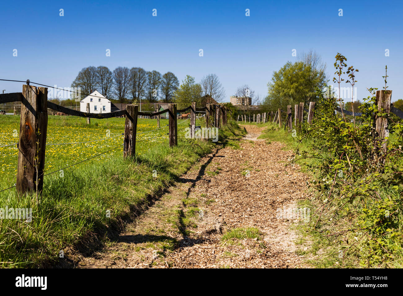 Countryside lane Stock Photo