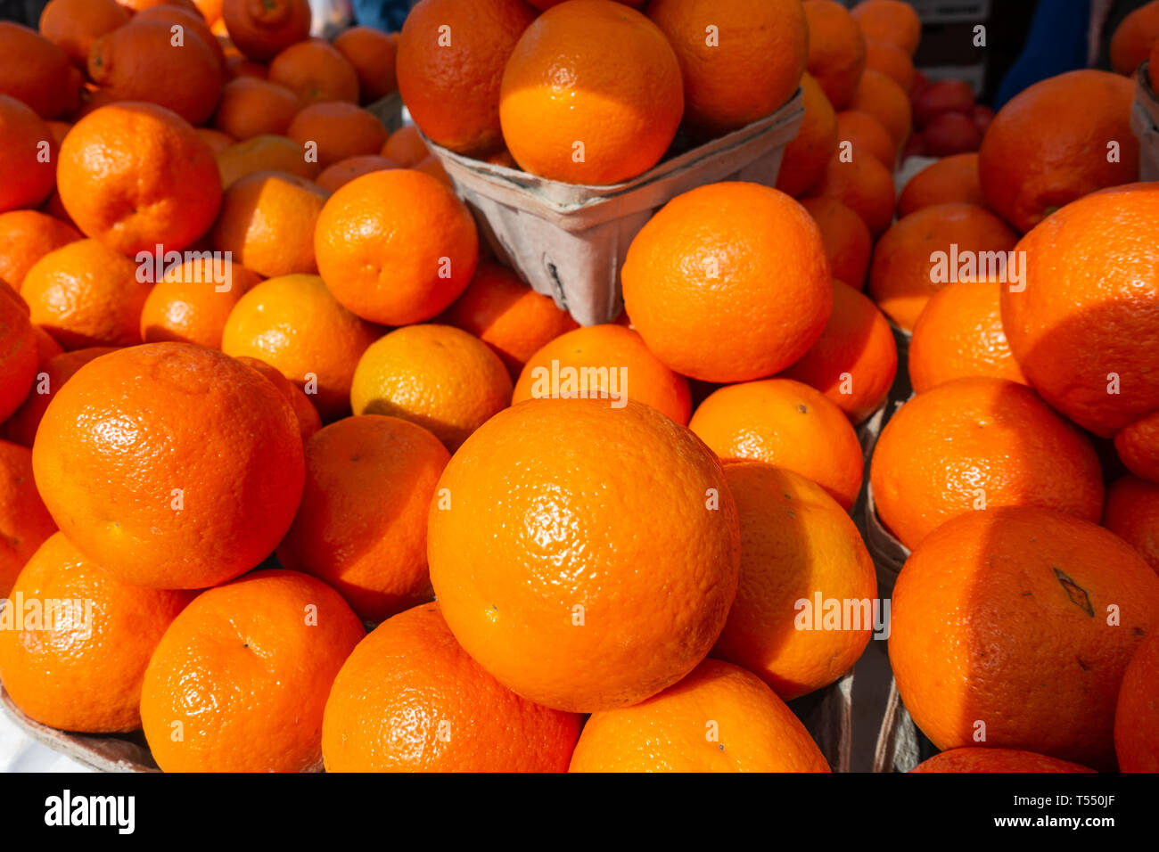 Florida oranges hires stock photography and images Alamy