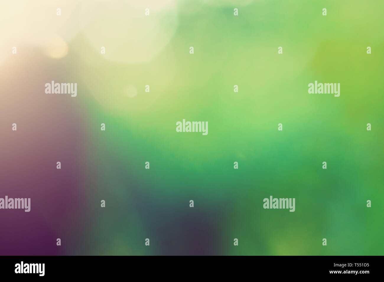 Blur bokeh macro background. Green park landscape Stock Photo - Alamy