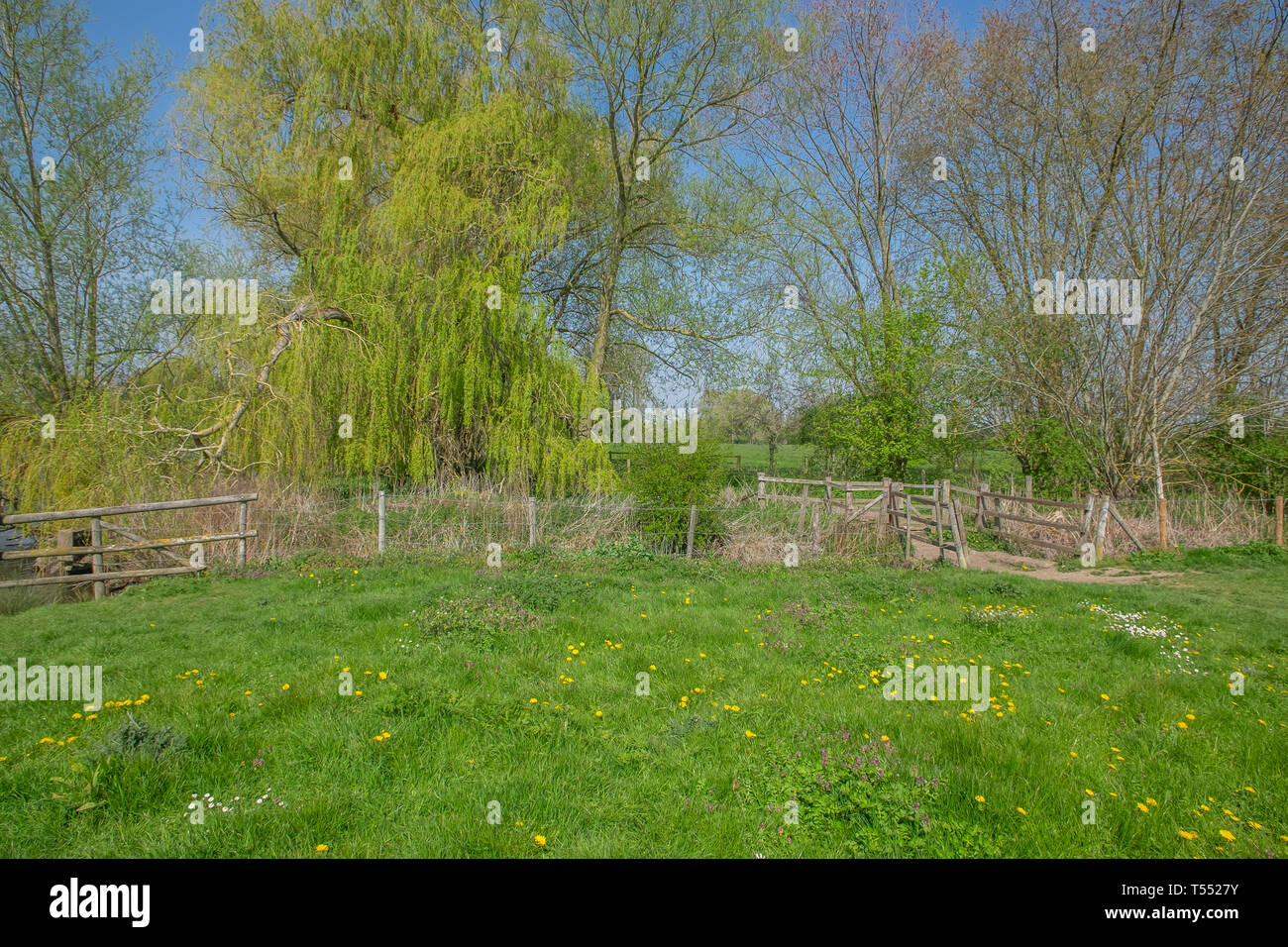 Wallingford Oxfordshire Stock Photo Alamy