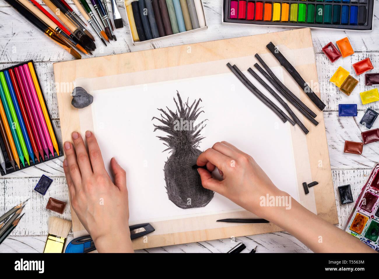 Charcoal sketch of a pineapple Stock Photo Alamy