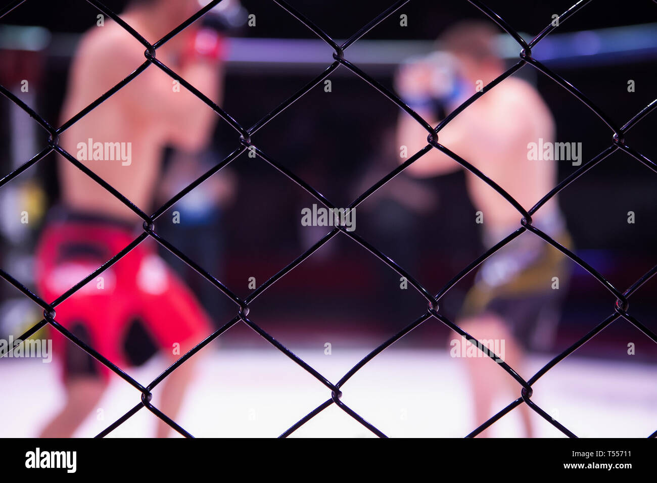 Sports concept of fighting without rules.Two boxer athletes in the