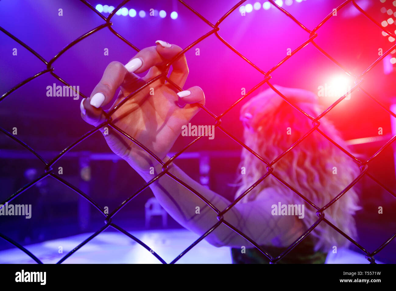 Rear view of a ring girl holds her hand on a metal grid in an octagonal scene. Pretty woman in
