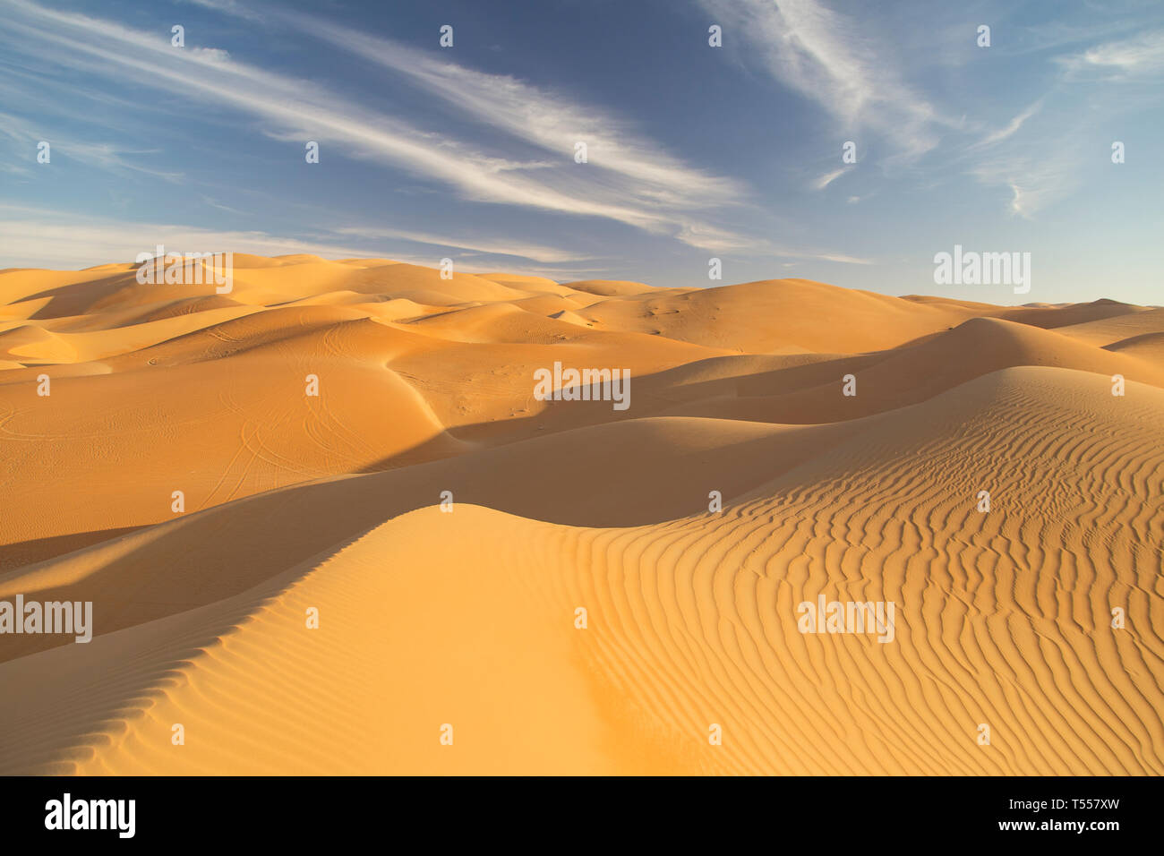 UAE, Abu Dhabi Province, Liwa Oasis, Rub Al Khali desert (Empty Quarter) Stock Photo