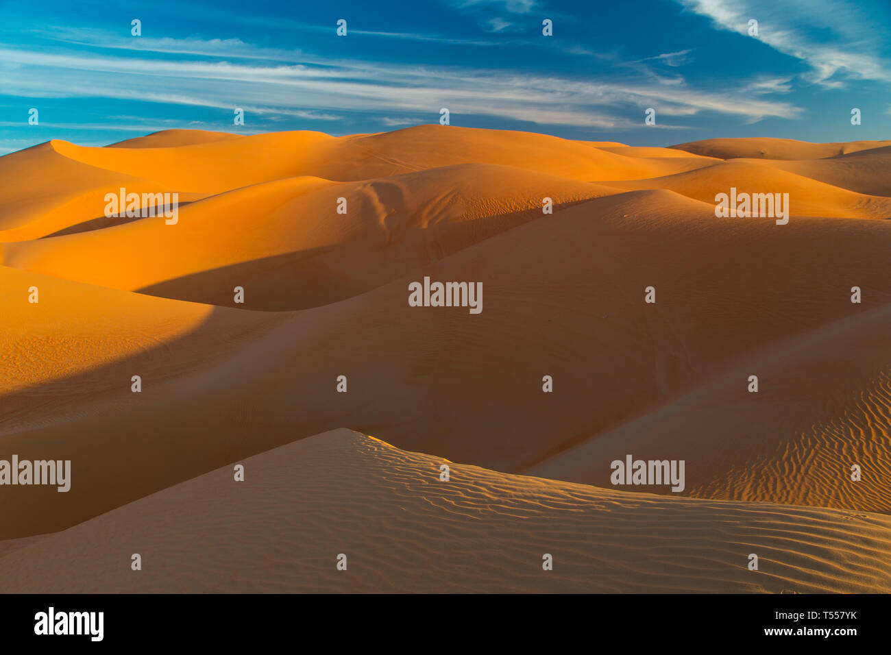 UAE, Abu Dhabi Province, Liwa Oasis, Rub Al Khali desert (Empty Quarter) Stock Photo