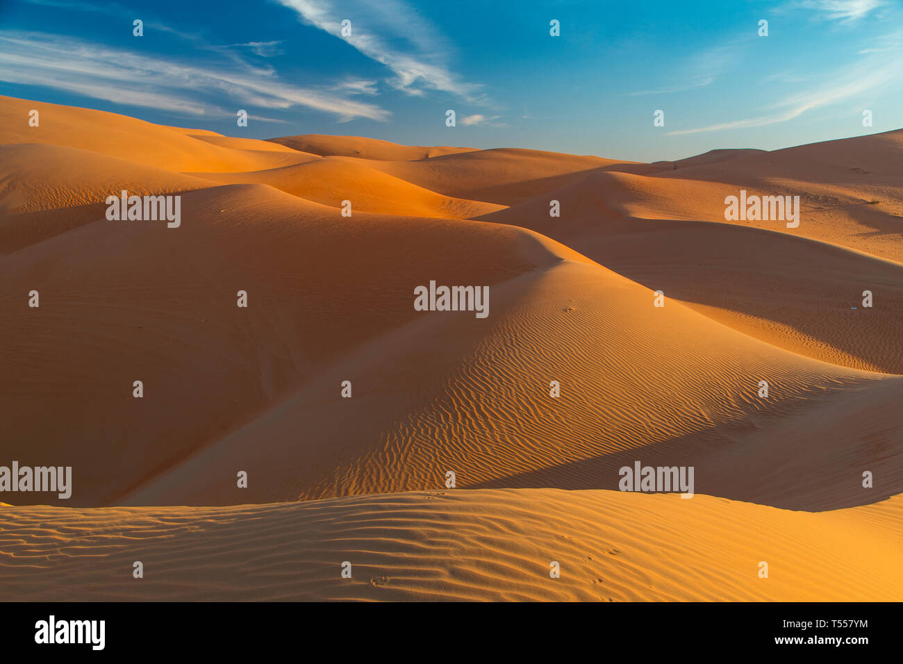 UAE, Abu Dhabi Province, Liwa Oasis, Rub Al Khali desert (Empty Quarter) Stock Photo