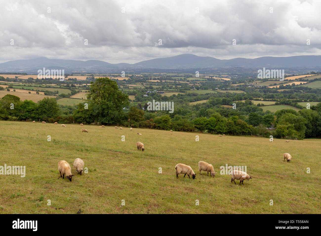 in Republic of Ireland. Stock Photo