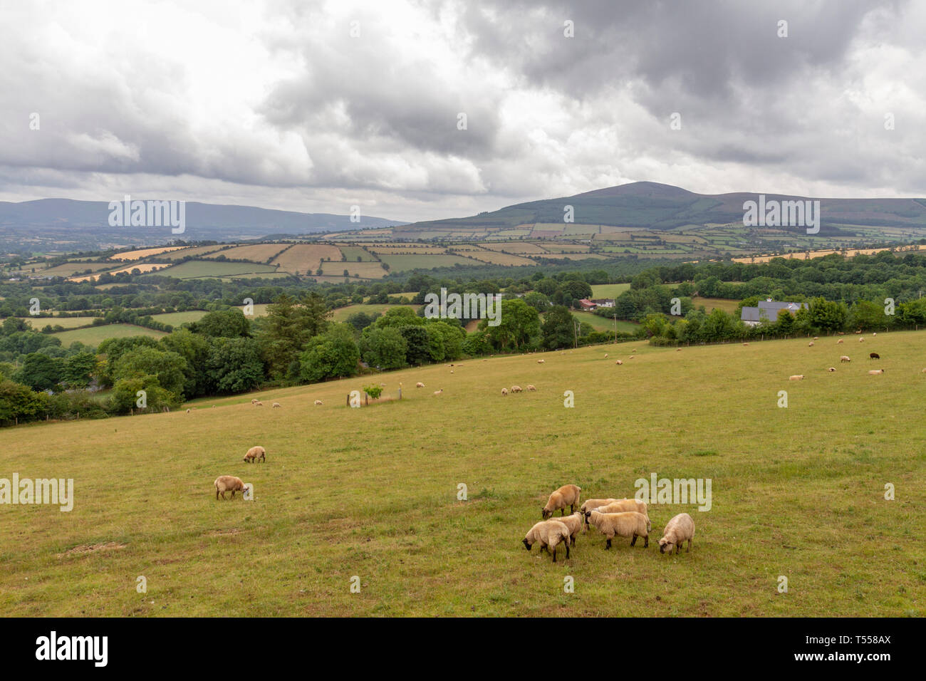 The views over Co Carlow from the Mount Leinster Heritage Drive, Co Carlow, Ireland. Stock Photo
