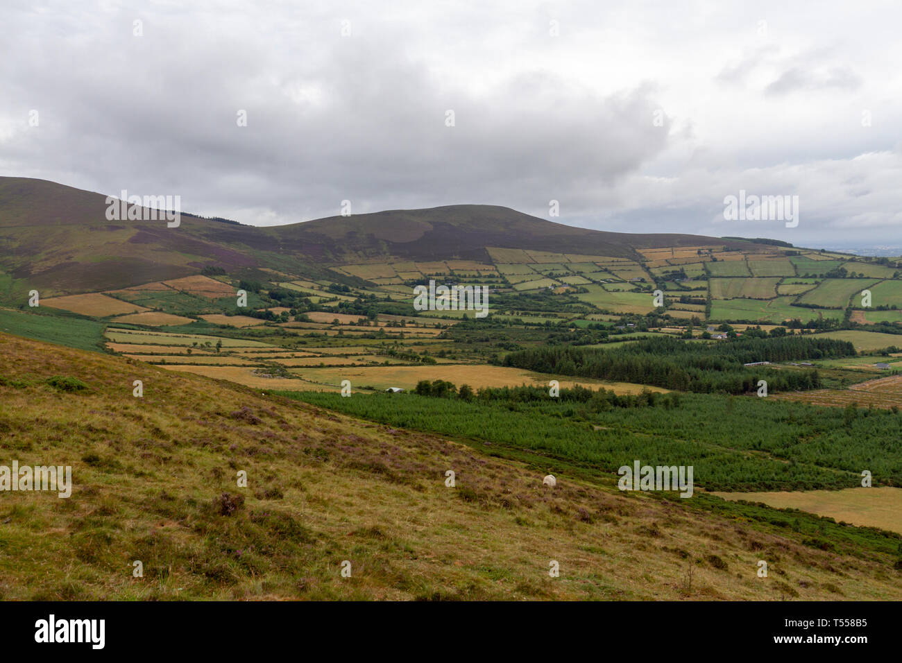 The views over Co Carlow from the Mount Leinster Heritage Drive, Co Carlow, Ireland. Stock Photo
