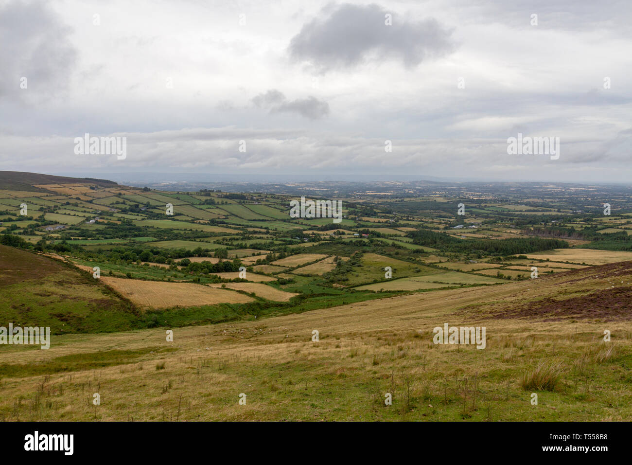 The views over Co Carlow from the Mount Leinster Heritage Drive, Co Carlow, Ireland. Stock Photo