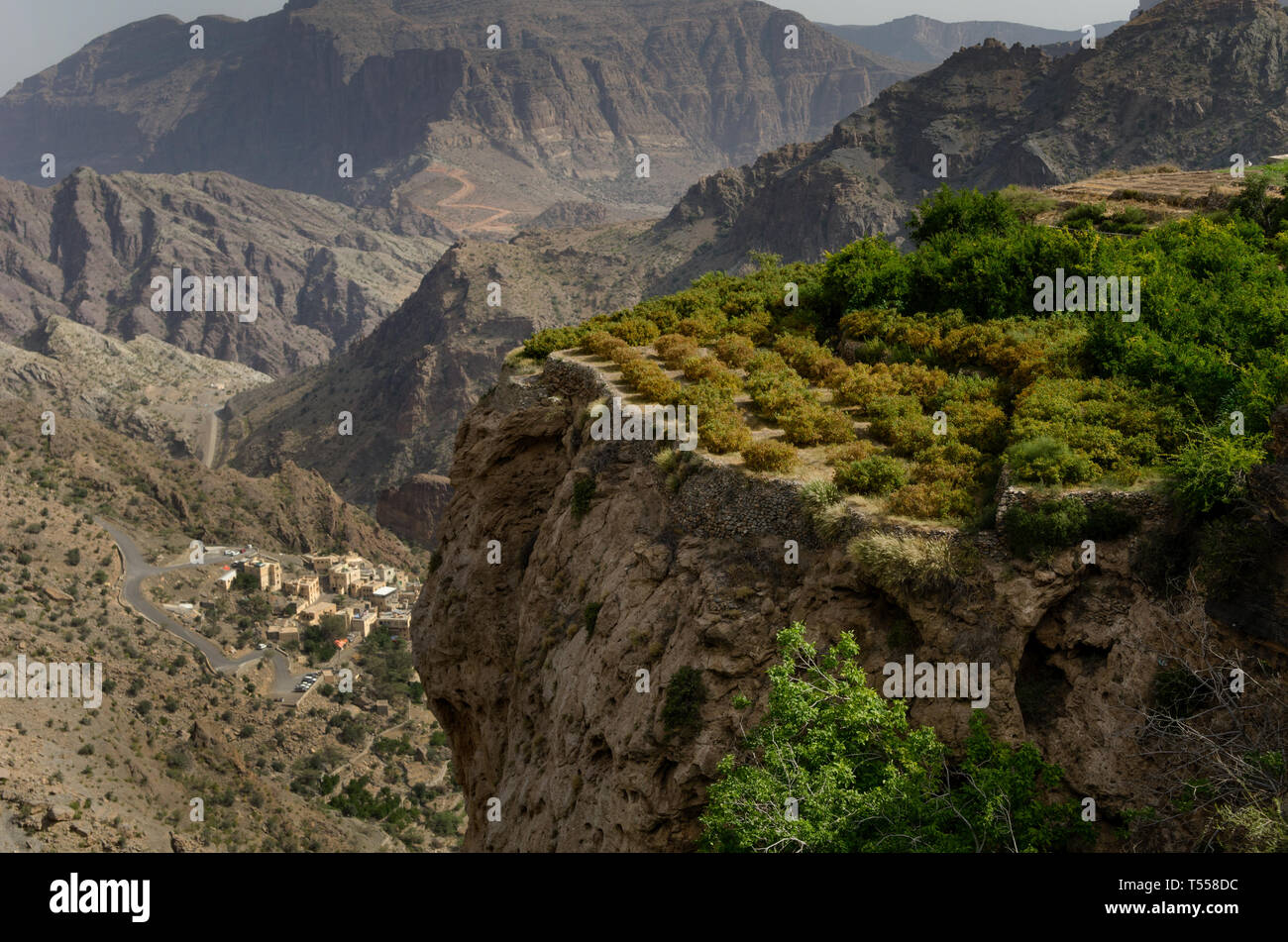 The green mountains called Jebel Akhdar of the Hajar mountain range, the harsh interior of Oman, home of traditional rose harvesting and fruit farming Stock Photo