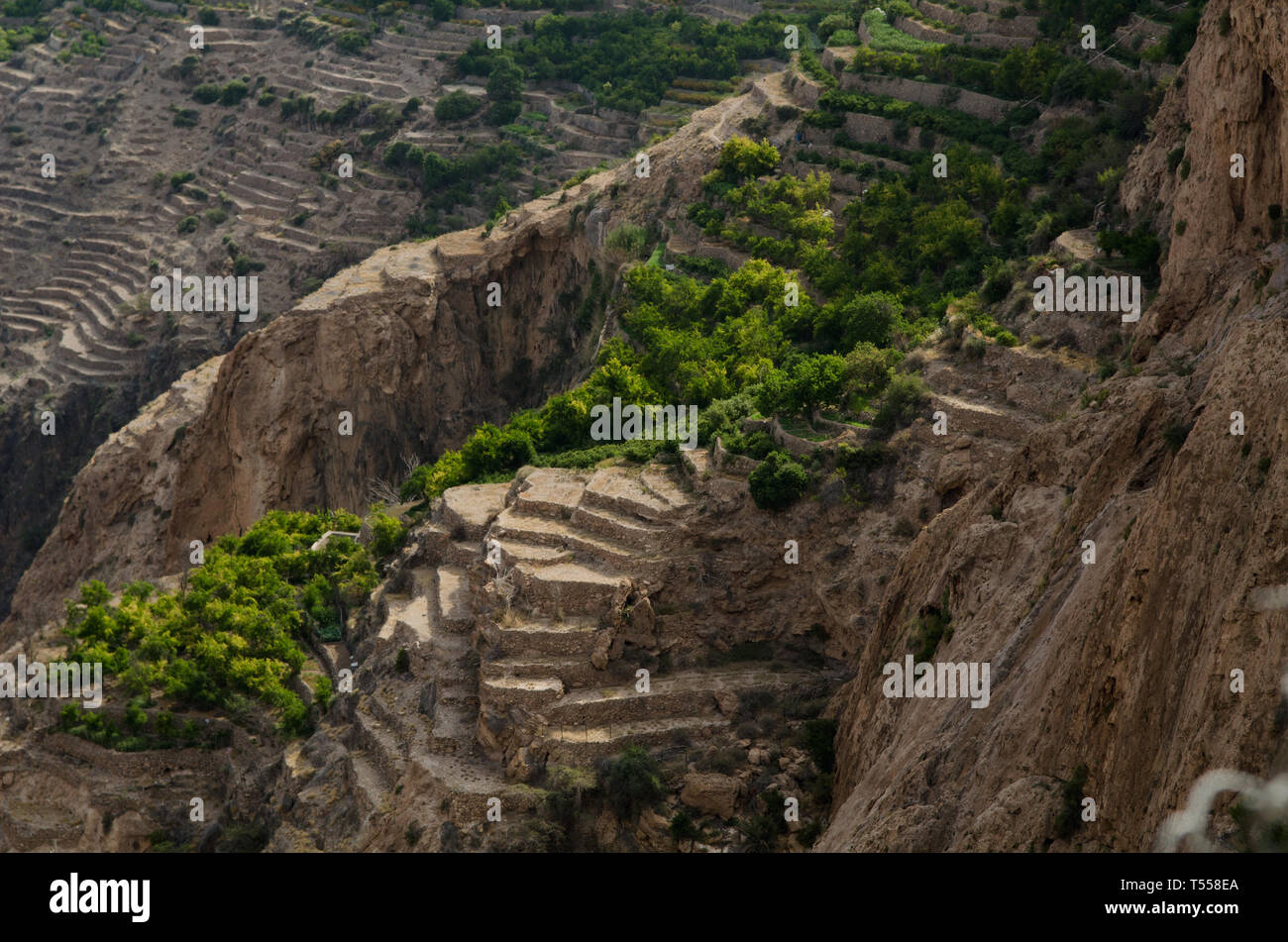 The green mountains called Jebel Akhdar of the Hajar mountain range, the harsh interior of Oman, home of traditional rose harvesting and fruit farming Stock Photo