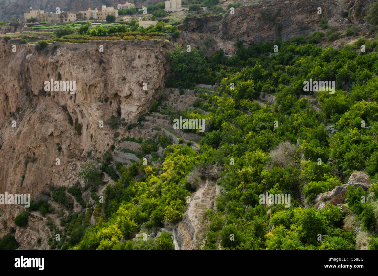 The green mountains called Jebel Akhdar of the Hajar mountain range, the harsh interior of Oman, home of traditional rose harvesting and fruit farming Stock Photo