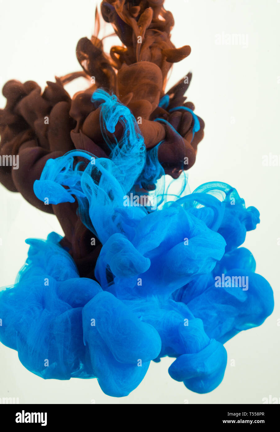 colorful ink drops in water Stock Photo - Alamy