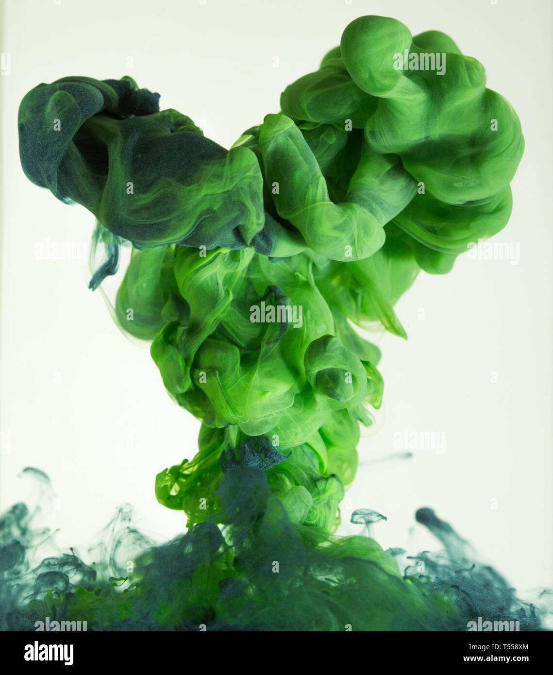 colorful ink drops in water Stock Photo Alamy