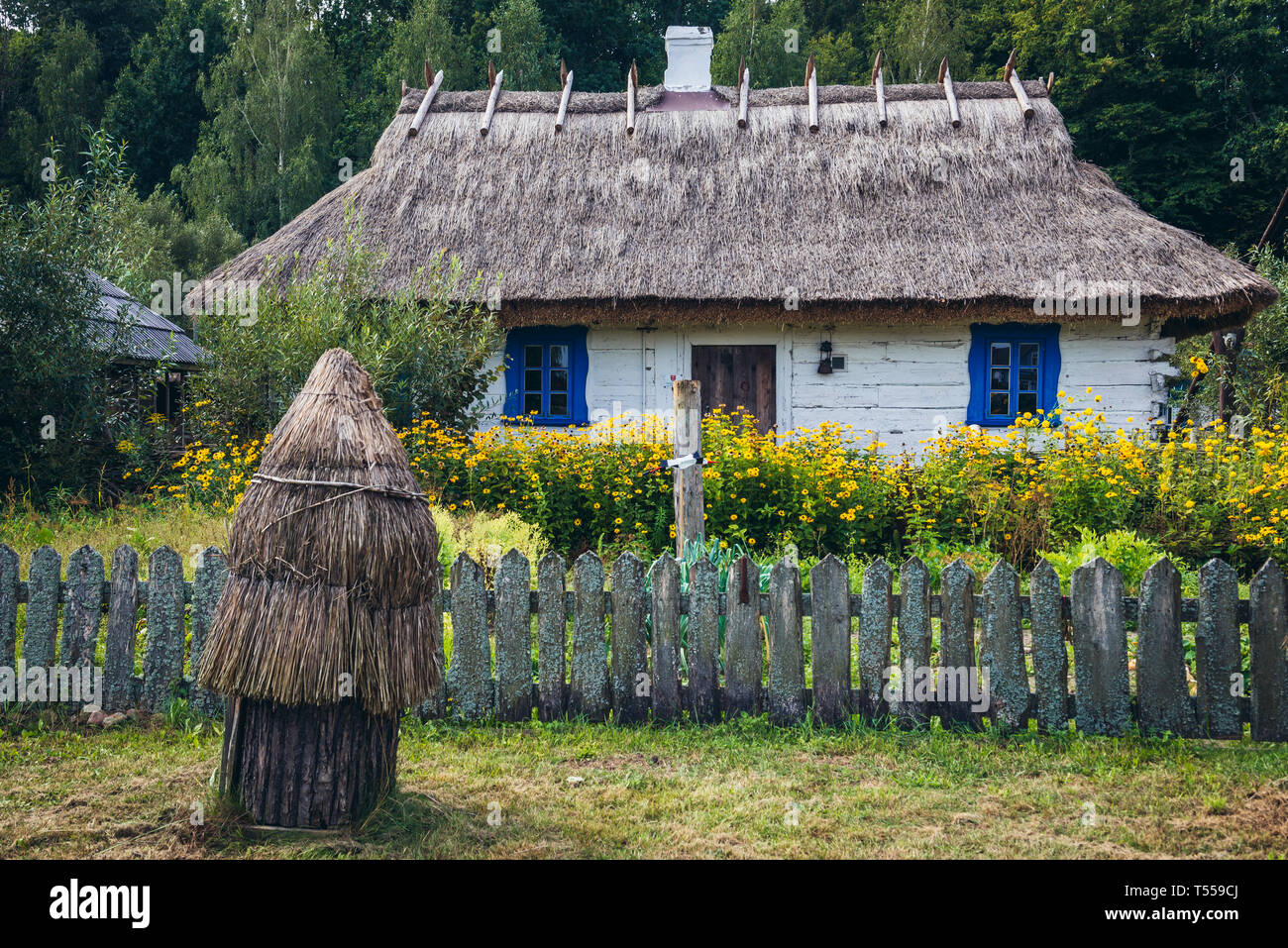 Wooden house with thatched roof in Bialowieskie Siolo inn in Budy village, Podlaskie Voivodeship in Poland Stock Photo
