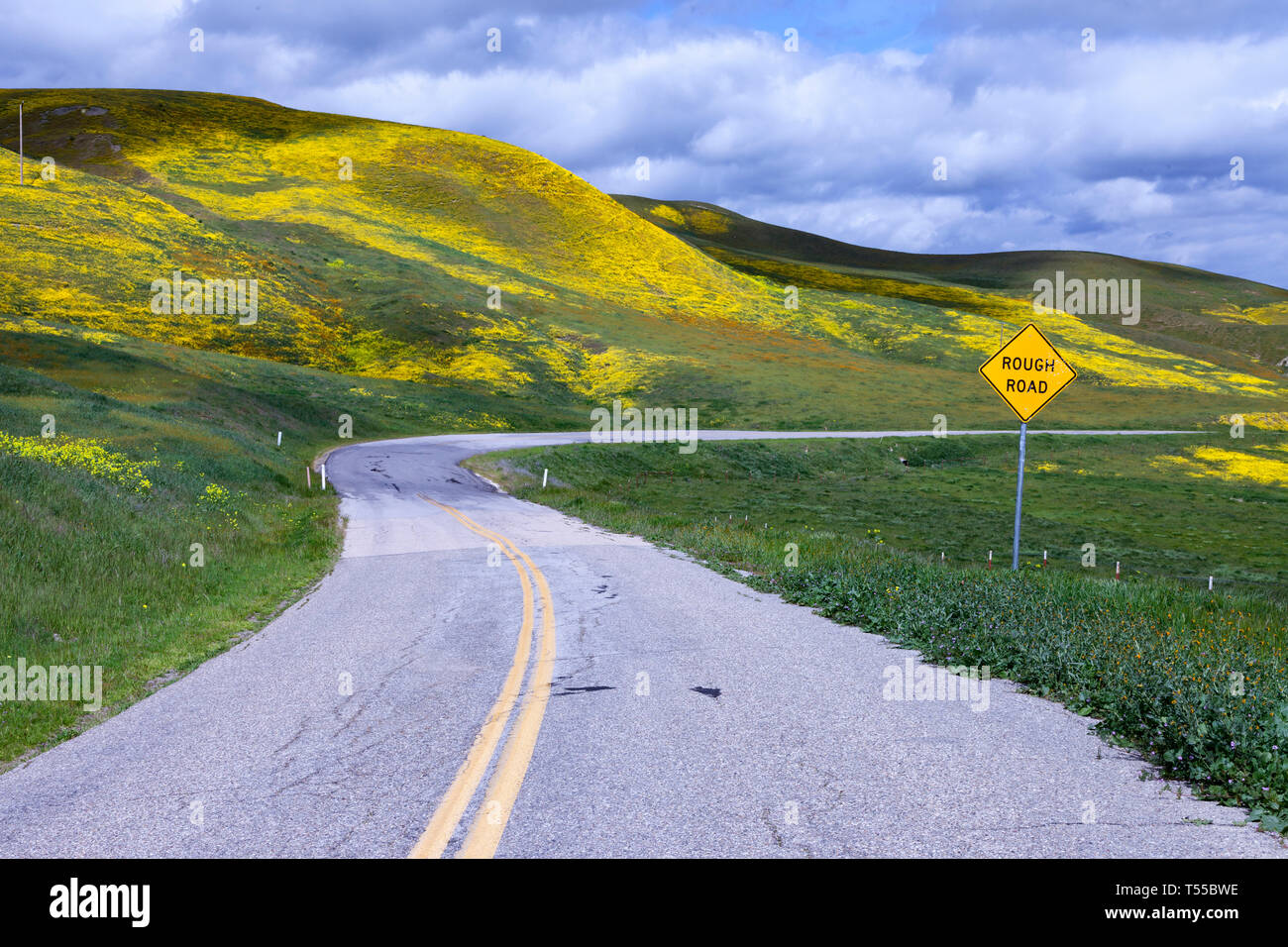 Wildflowers cover the hillsides along Bitterwater Road in California's San Luis Obispo County. Stock Photo