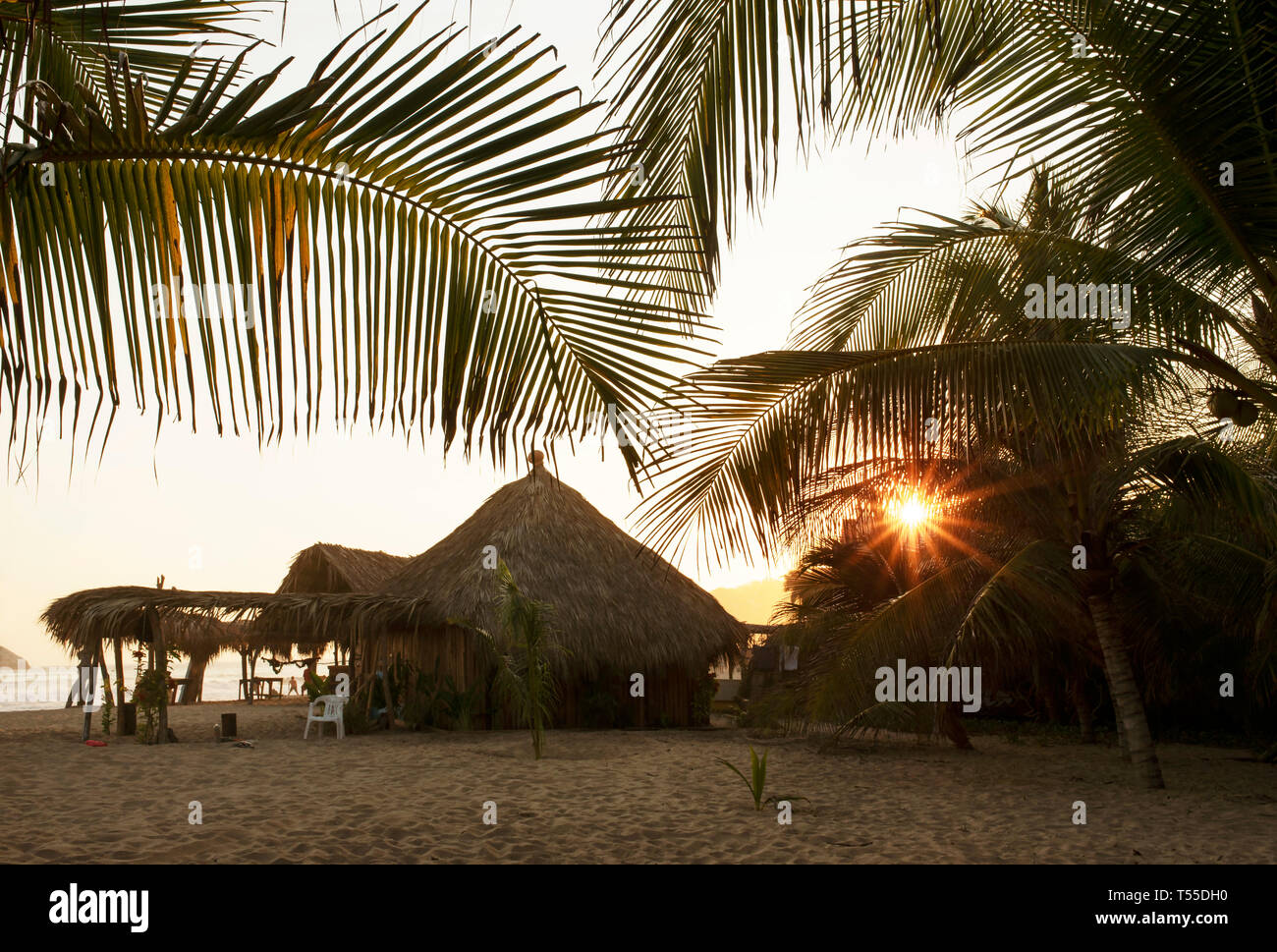Lush palm trees, thatched-roofed cabins (cabañas) for tourists lodging on the tropical beach of Zipolite. Oaxaca State, Mexico. Apr 2019 Stock Photo
