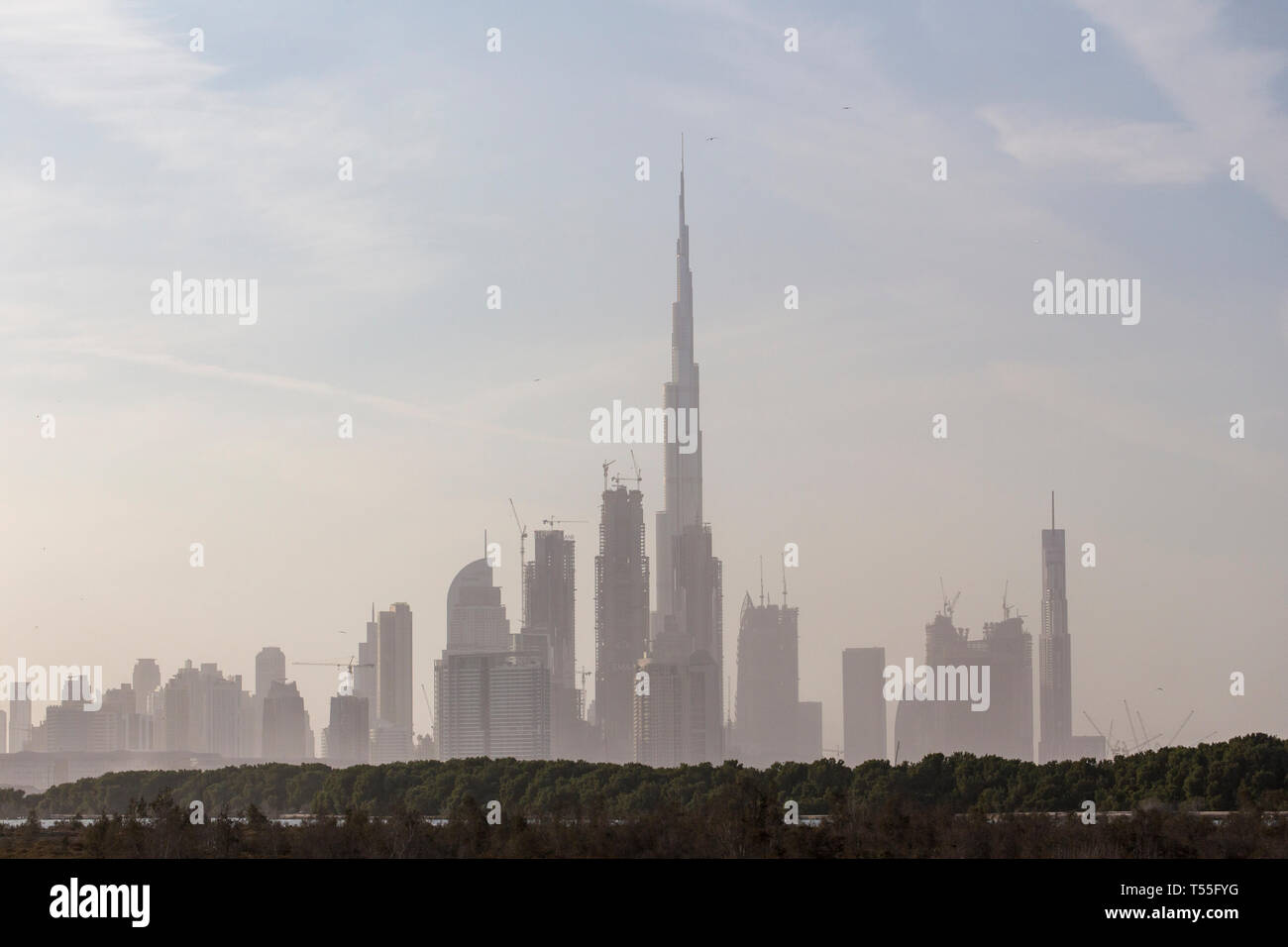 UAE, Dubai, Dubai Creek (Khor Dubai), Ras Al-Khor Wildlife Sanctuary, Flamingo (Phoenicopterus roseus) and city skyline Stock Photo