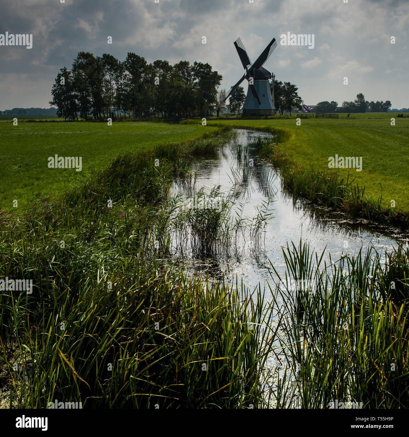 Volunteers restoring a windmill in Friesland