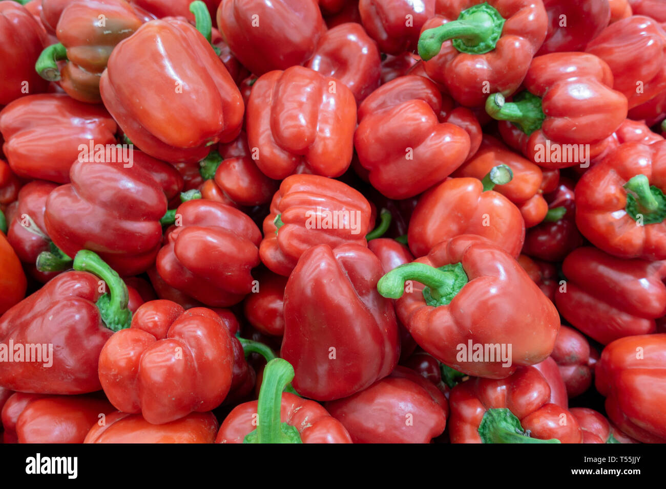 Fresh red pepper harvest close up on the market. Stock Photo
