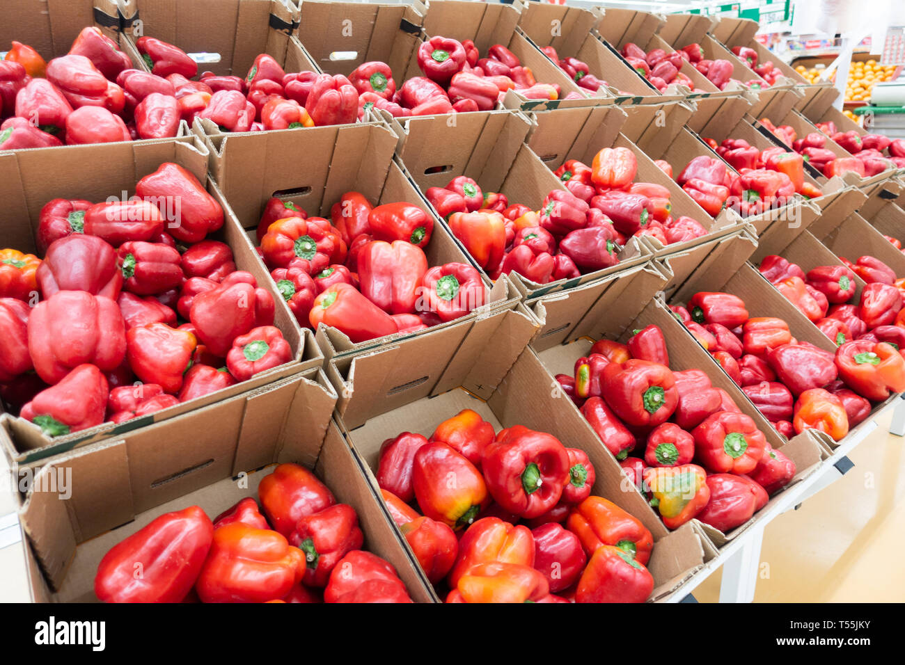 Fresh red pepper harvest close up on the market. Stock Photo