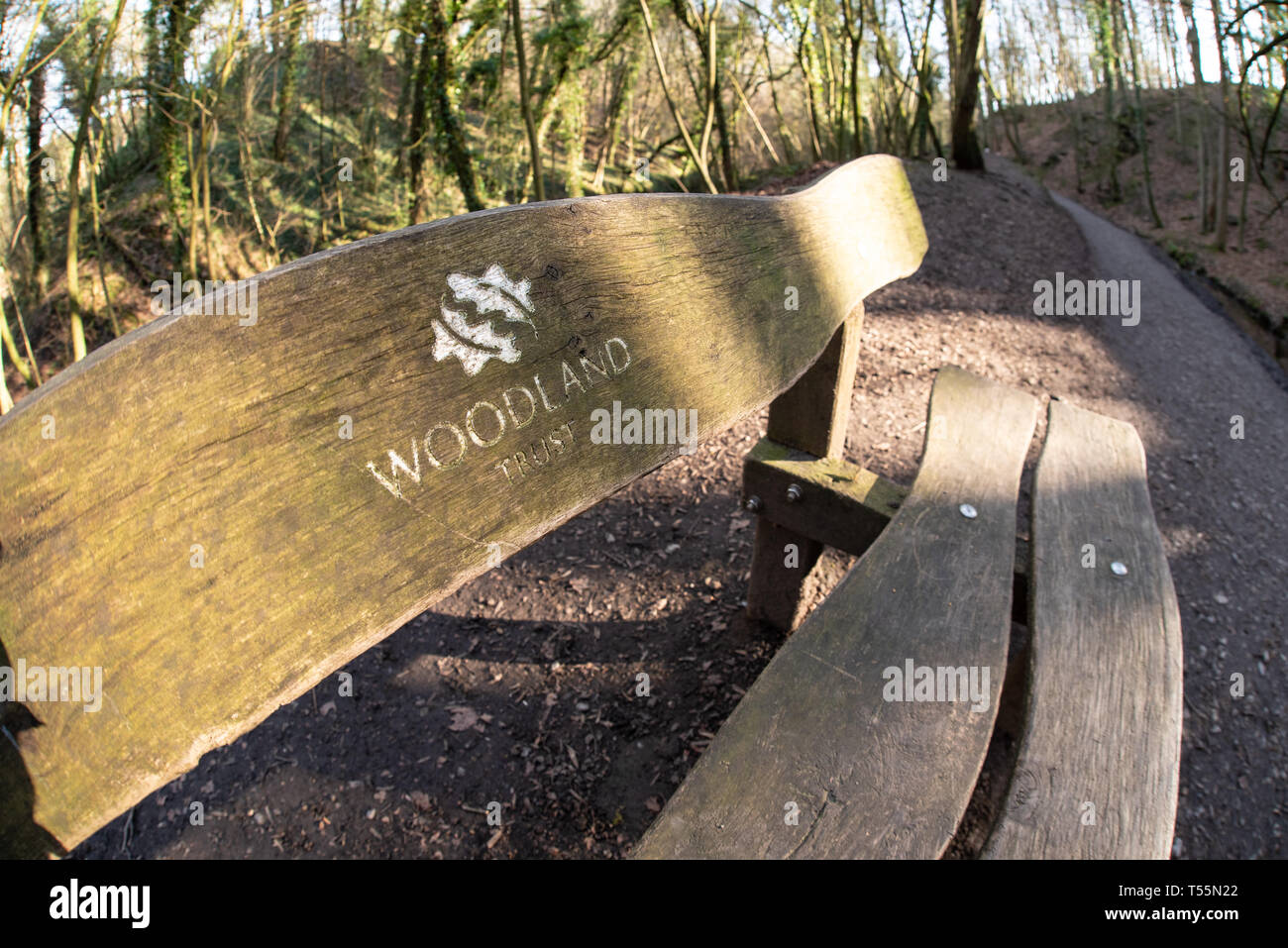 Wooden Bench in Skipton Castle Woods North Yorkshire UK Stock Photo