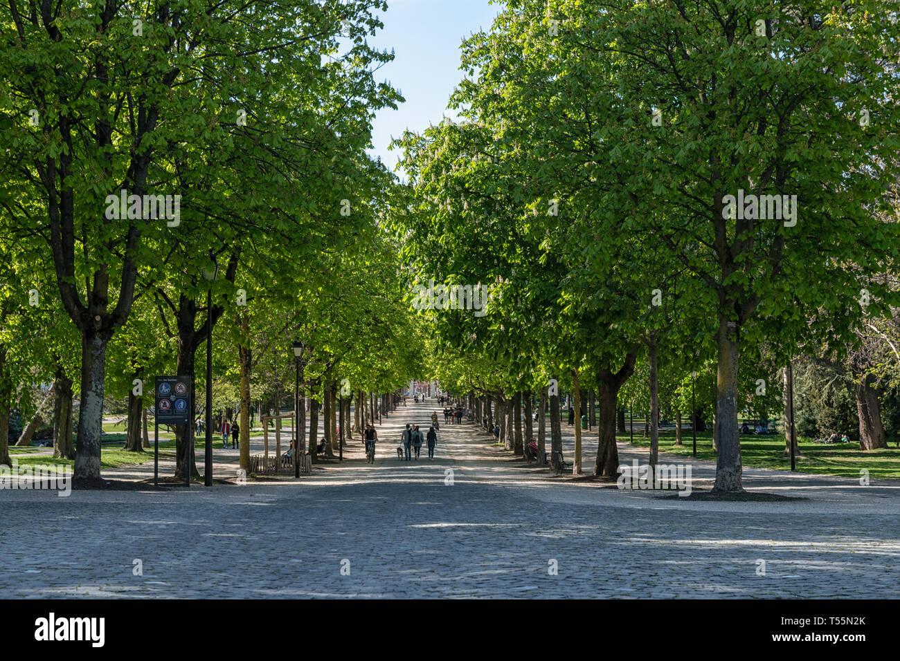 The parc des Bastions est aka Promenade des Bastions with it's cobblestone pavement and spring time green leaves. Stock Photo