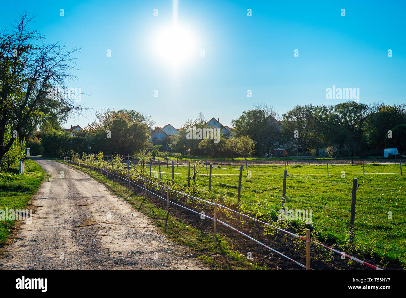 Sun in the afternoon over a field with forest and village in the ...