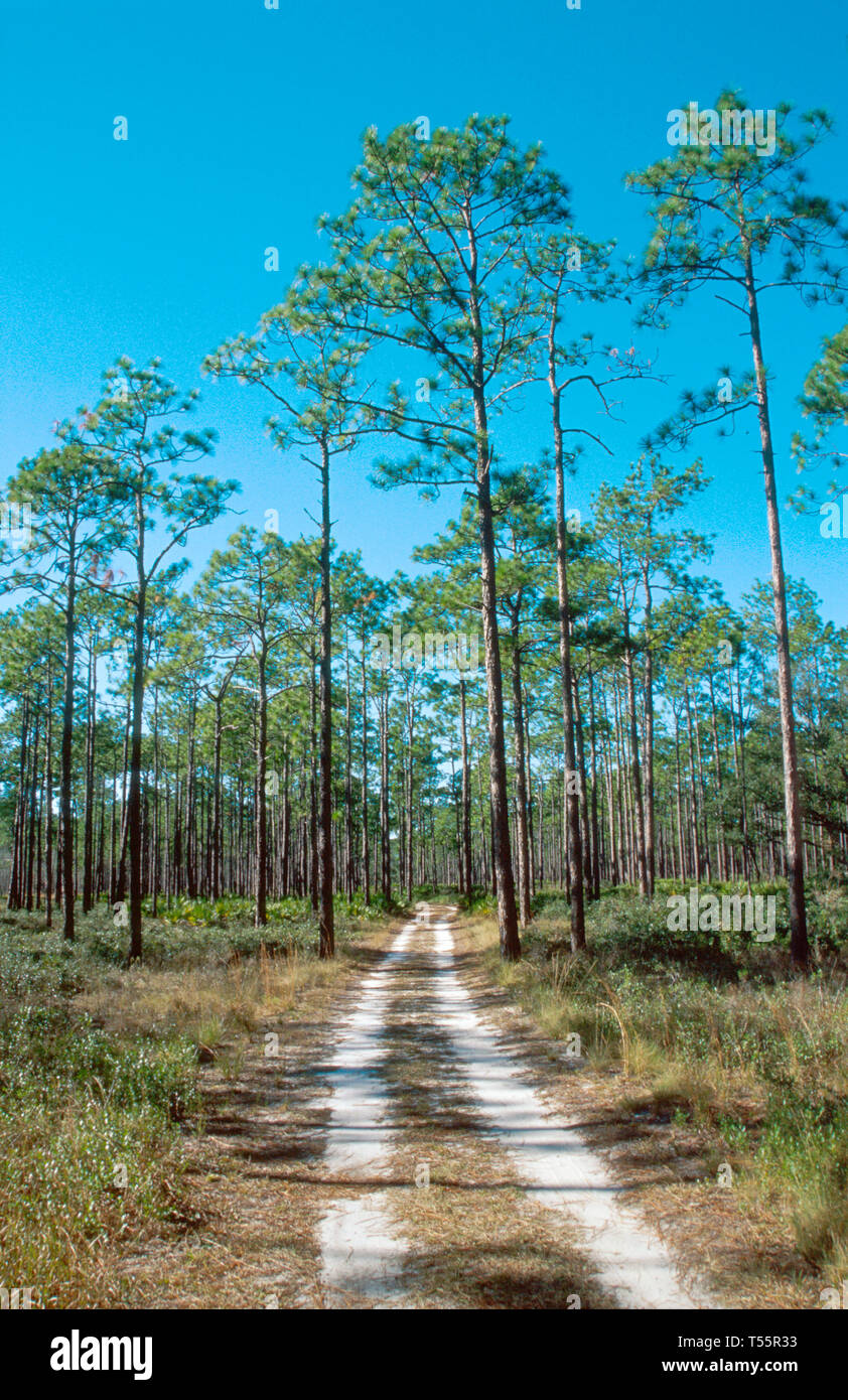 Gulf coast wakulla county ochlockonee river water state park hires