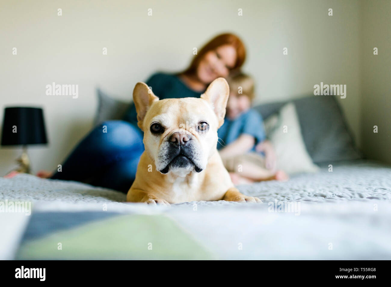 Dog lying on bed in front of mother and son Stock Photo