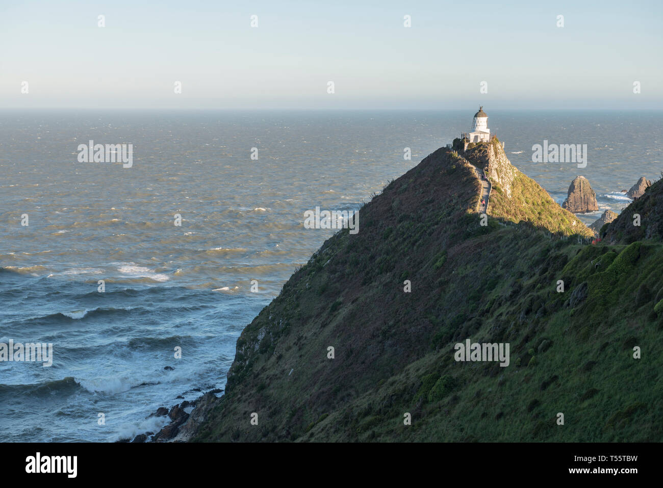 Lighthouse on Nugget Point in Otago, New Zealand Stock Photo