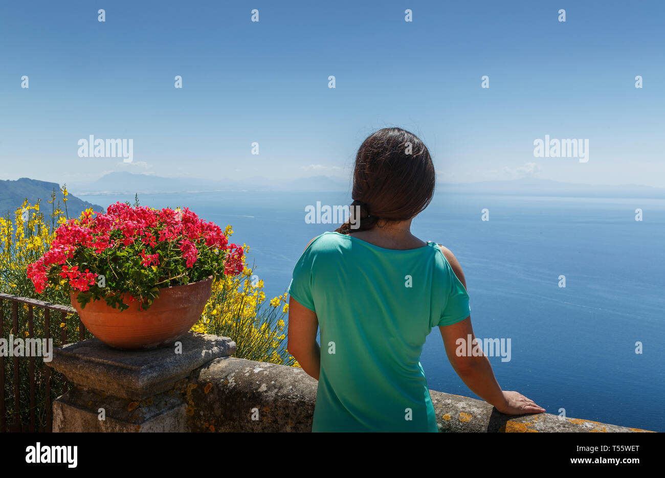 Rear view of woman by flower pot Stock Photo