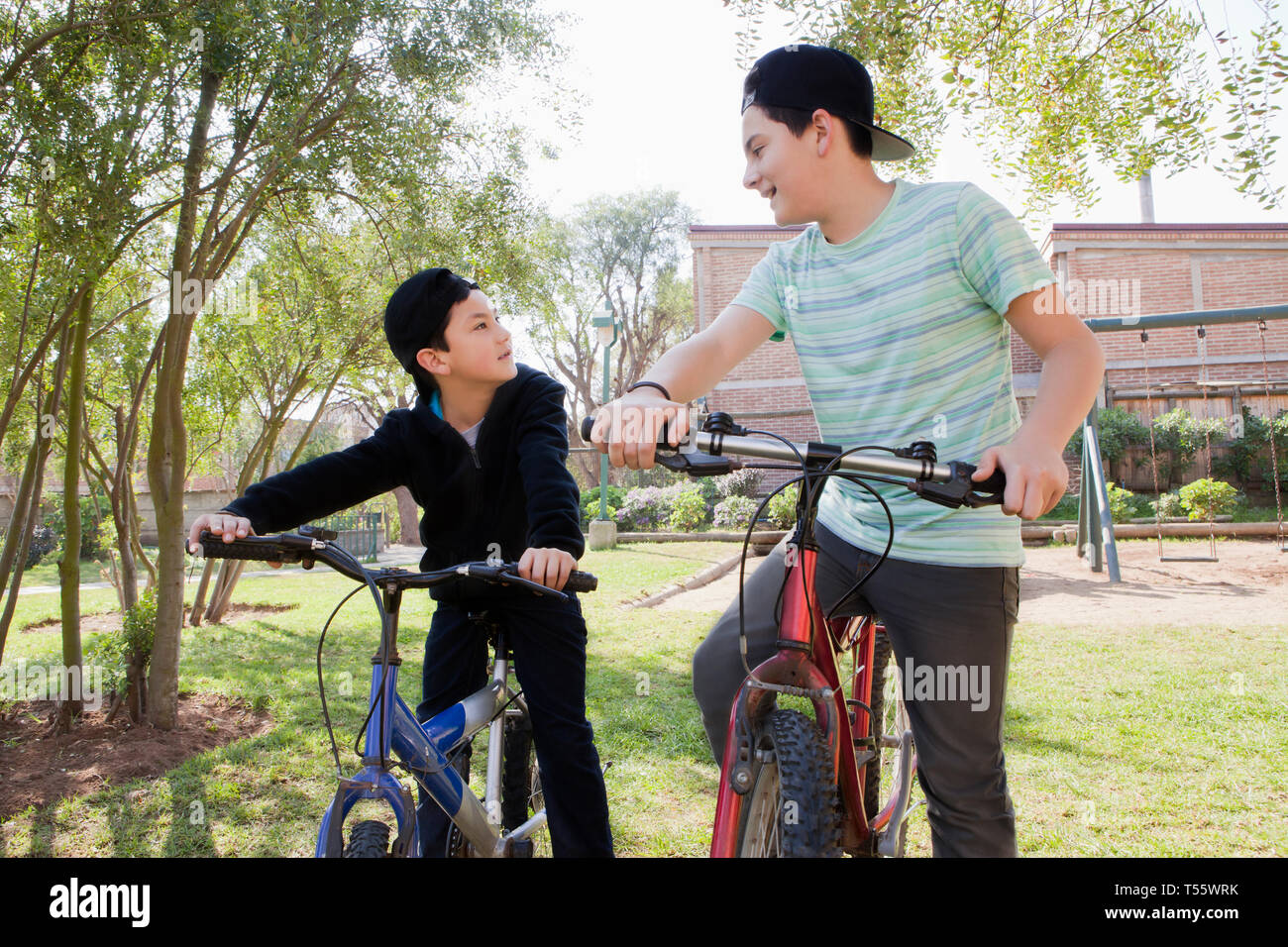 Brothers with bicycles in park Stock Photo