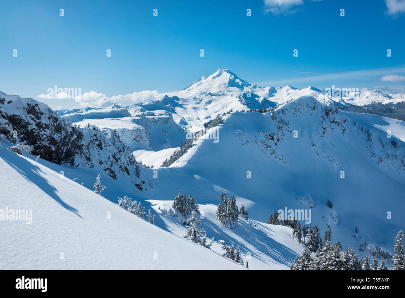 Mount Baker Ski Area in Washington State, USA Stock Photo Alamy