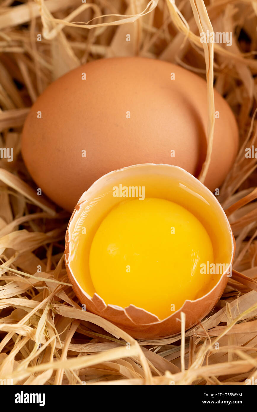 Cracked egg on straw Stock Photo Alamy