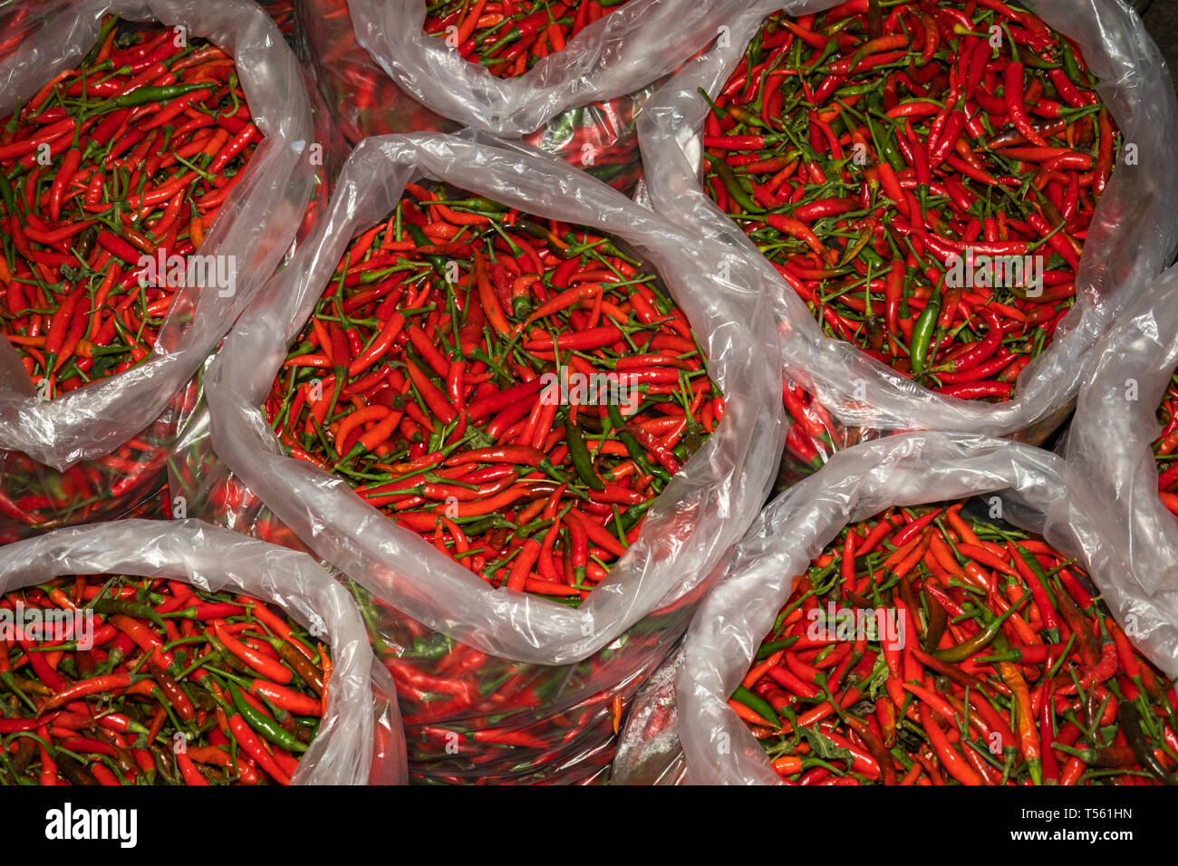 Chillies of thailand hi-res stock photography and images - Alamy