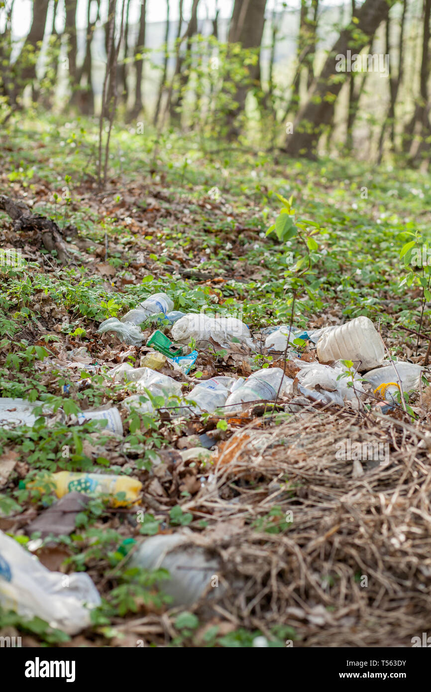 Plastic trash in the forest. Tucked nature. Plastic container lying in ...