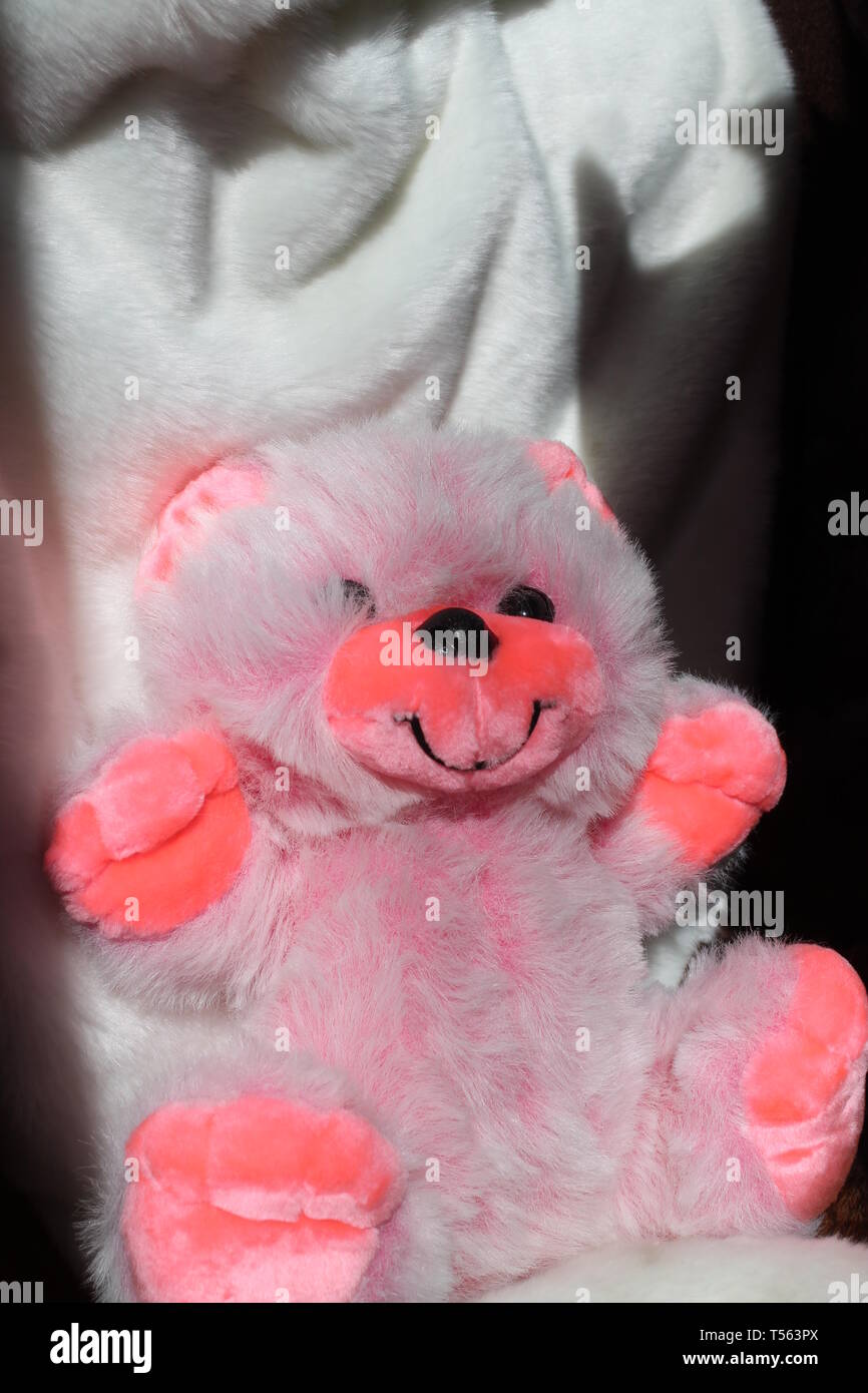 beautiful bright pink teddy bear with up paws gift for birthday Stock Photo