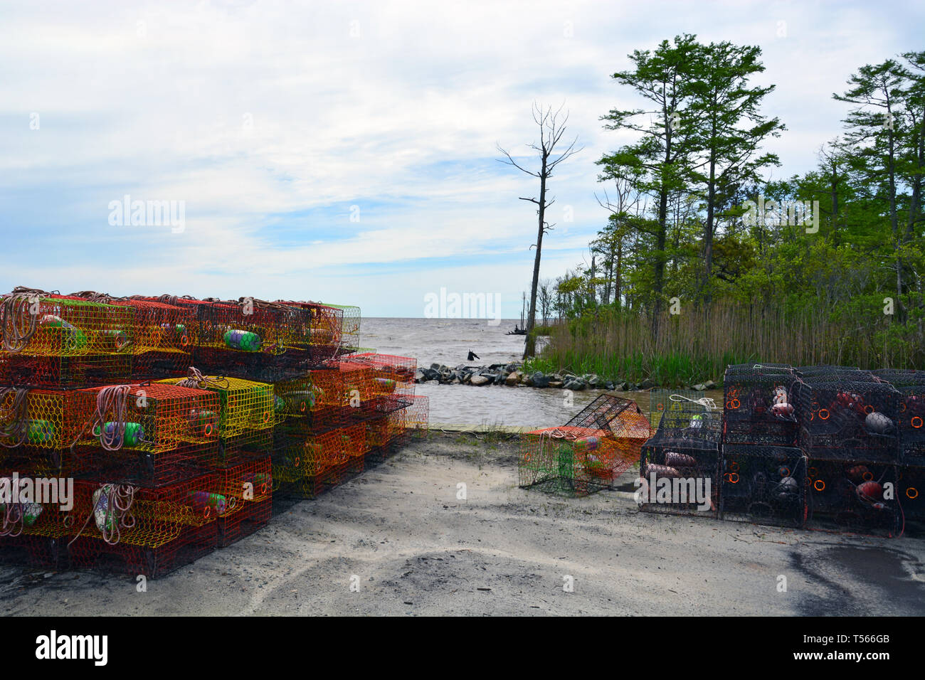 Crab pots are stacked up by the dock along US-64 and the Alligator River at the Outer Banks of North Carolina. Stock Photo