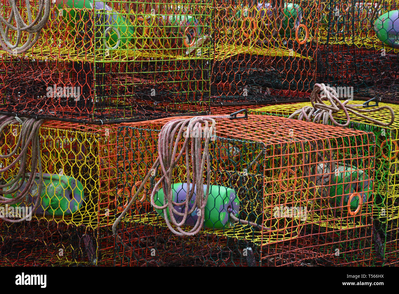 Crab pots are stacked up by the dock along US64 and the Alligator