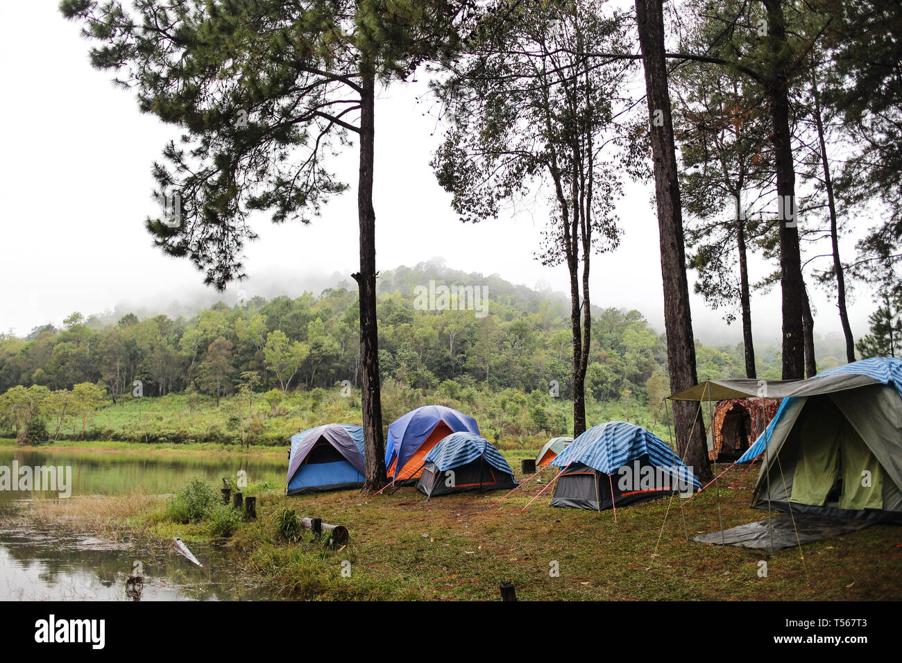 camping tent by the river Stock Photo - Alamy