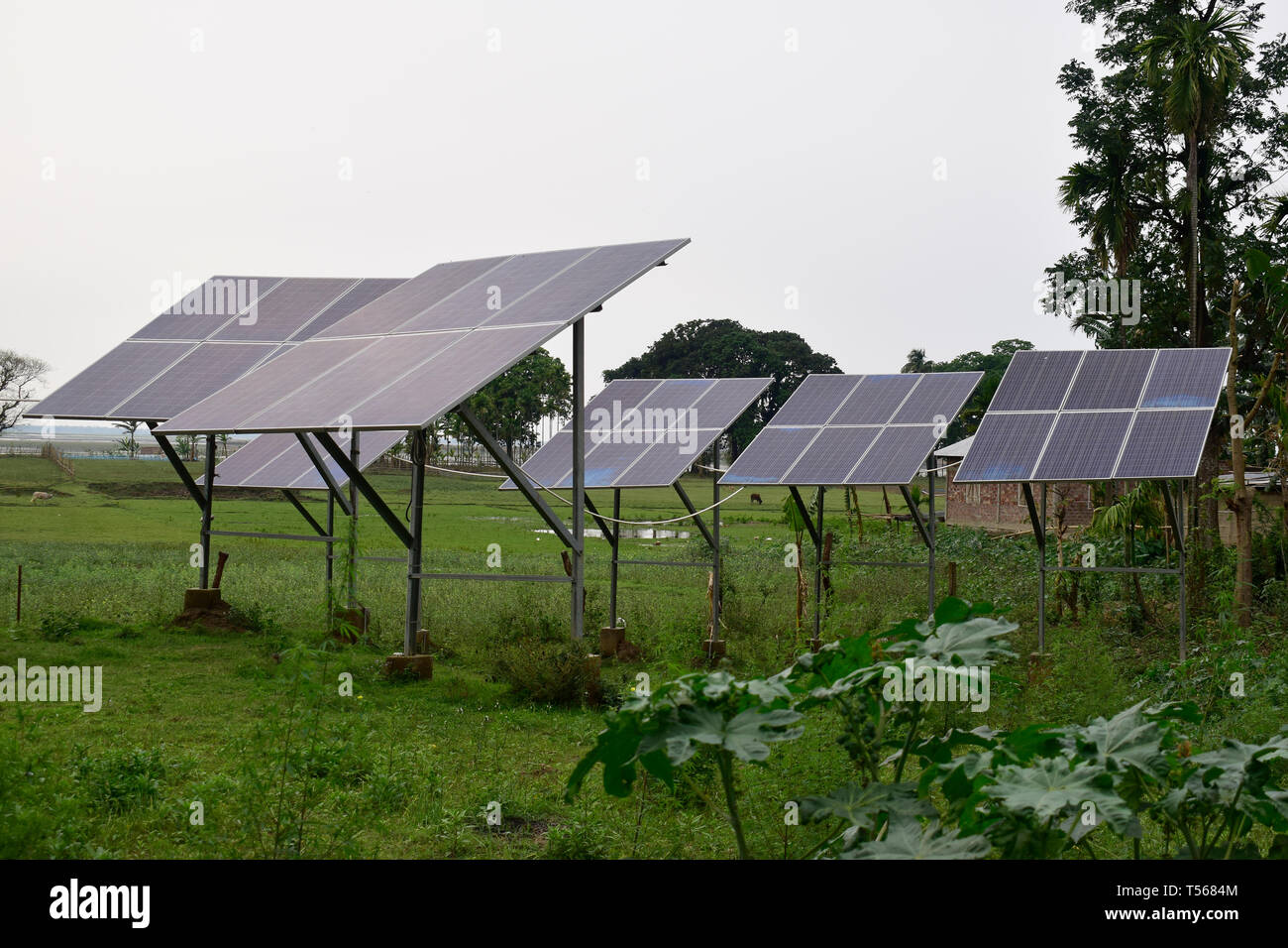 Solar PV panels in countryside farm field in India Stock Photo