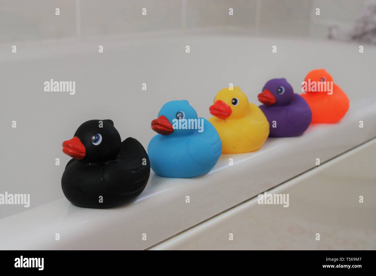 rubber ducks lined up in a bathroom Stock Photo - Alamy